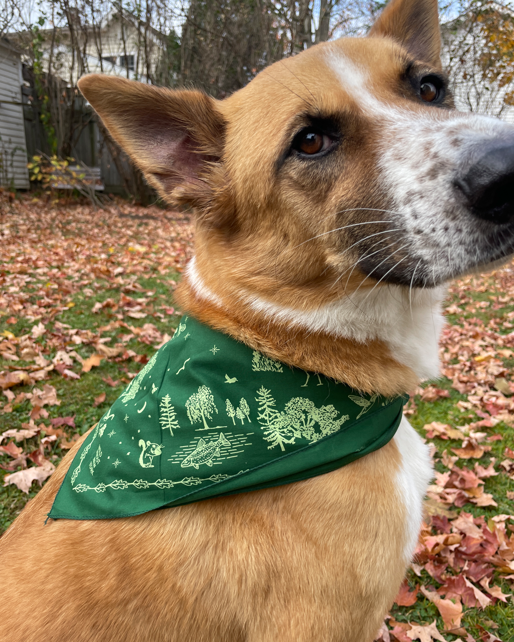 Great Outdoors Bandana